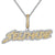 Selfmade Double Layer 14K White Gold Two Tone Icy Pendant